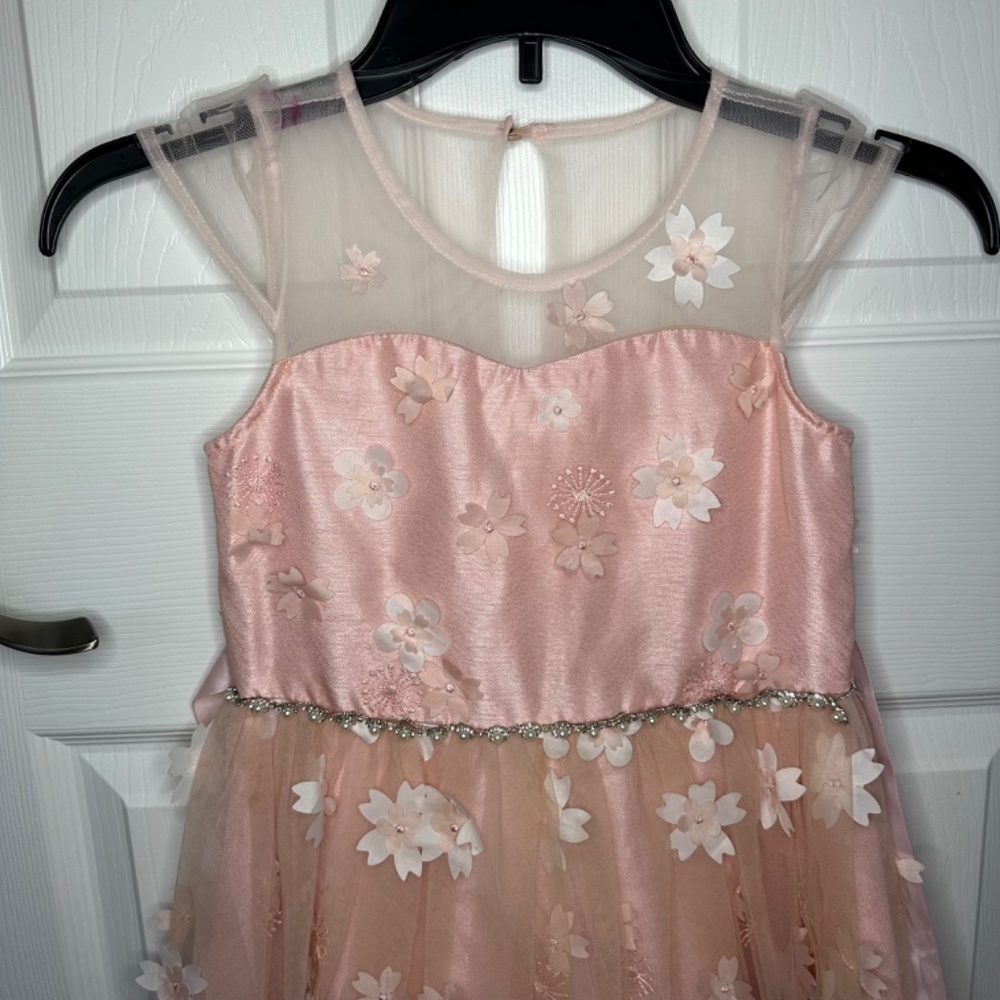 Chantilly place Size 6 girl formal gown. Wedding dress. kids dress - Picture 3 of 12